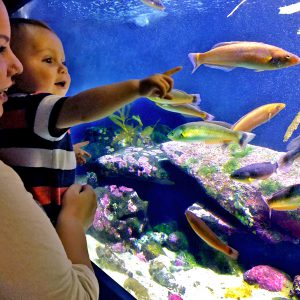 Harrington Industrial Plastics - Aquatic Life Support