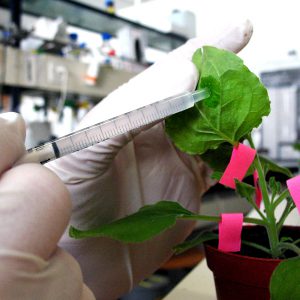 Harrington Industrial Plastics - Bio Pharm